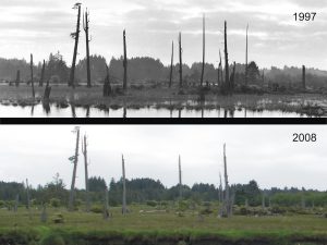 1997-vs-2008-attrition
