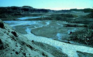 paleo-ecology-of-new-england