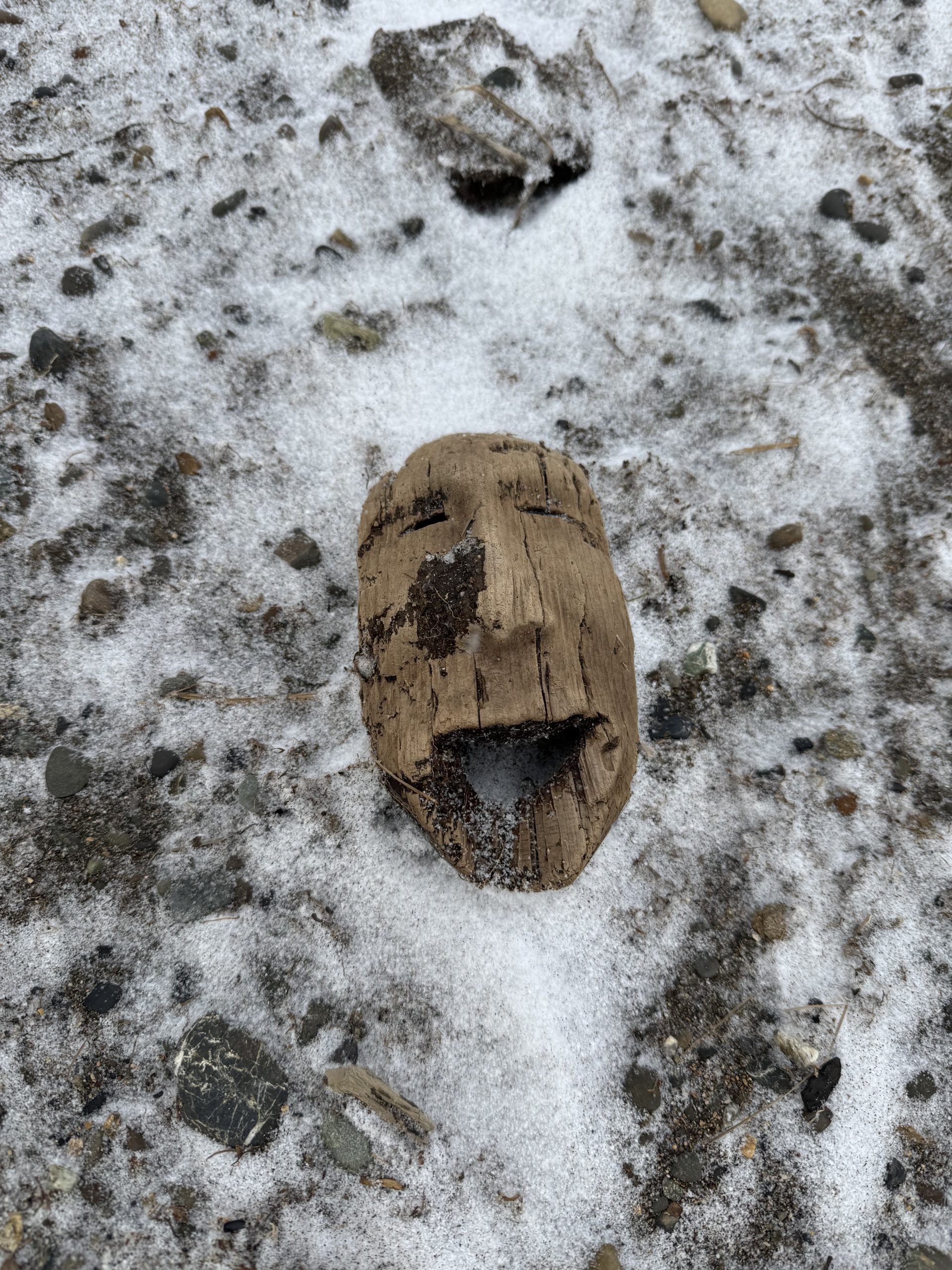 Nunalleq Rescue Survey, Quinhagak, AK